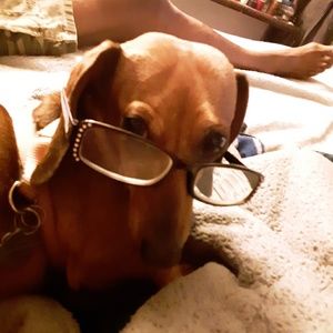 Meet your Posher, Janine